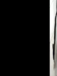 Lulu
