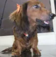 Lola