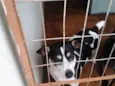 Machinho