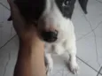sem nome