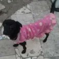 BELINHA