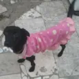 BELINHA