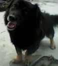 pablito