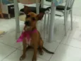 Não sei