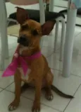 Não sei