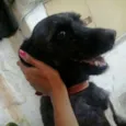 Jake