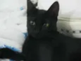 Margo