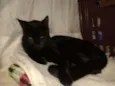 Margo