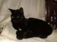 Margo