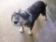 KIKA