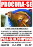Magrela GRATIFICA