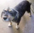 KIKA