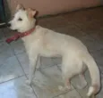 Belinha