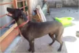 Bebê
