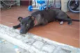 Bebê