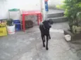 Spike