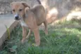 MARC, 5 MESES, um f
