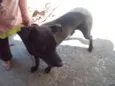 Spike