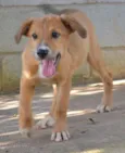 MARC, 5 MESES, um f