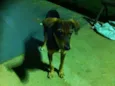 Não sei