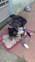 amiguinha
