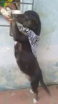 amiguinha