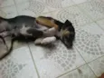 BOMBOM