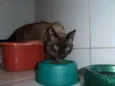 Charge