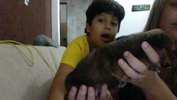 Cachorro ra a vira lata idade Abaixo de 2 meses nome ted