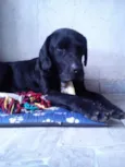 NEGÃO