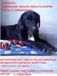 NEGÃO
