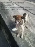 Fofolete