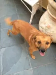 BELA E TOBY