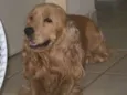 Lucky