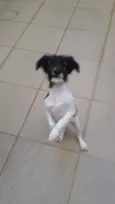 Molly