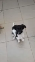 Molly
