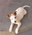 Charlotte, 3 meses,