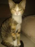 Nina
