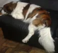 ODDY