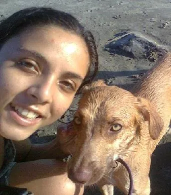 Cachorro ra a SRD idade 1 ano nome Flora