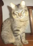 Léo