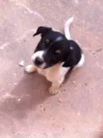 milù