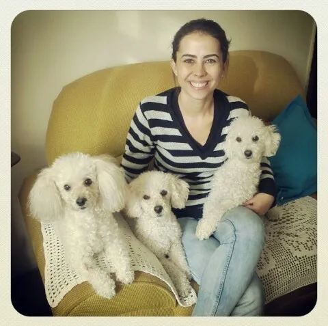 Cachorro raça Poodle idade 2 anos nome Príncipe e Johnny 