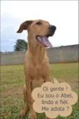 ABEL, 10 MESES!