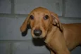 ABEL, 10 MESES!