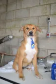 MARC, 5 MESES, um f