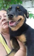 Julieta