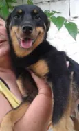 Julieta