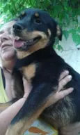 Julieta