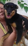 Julieta